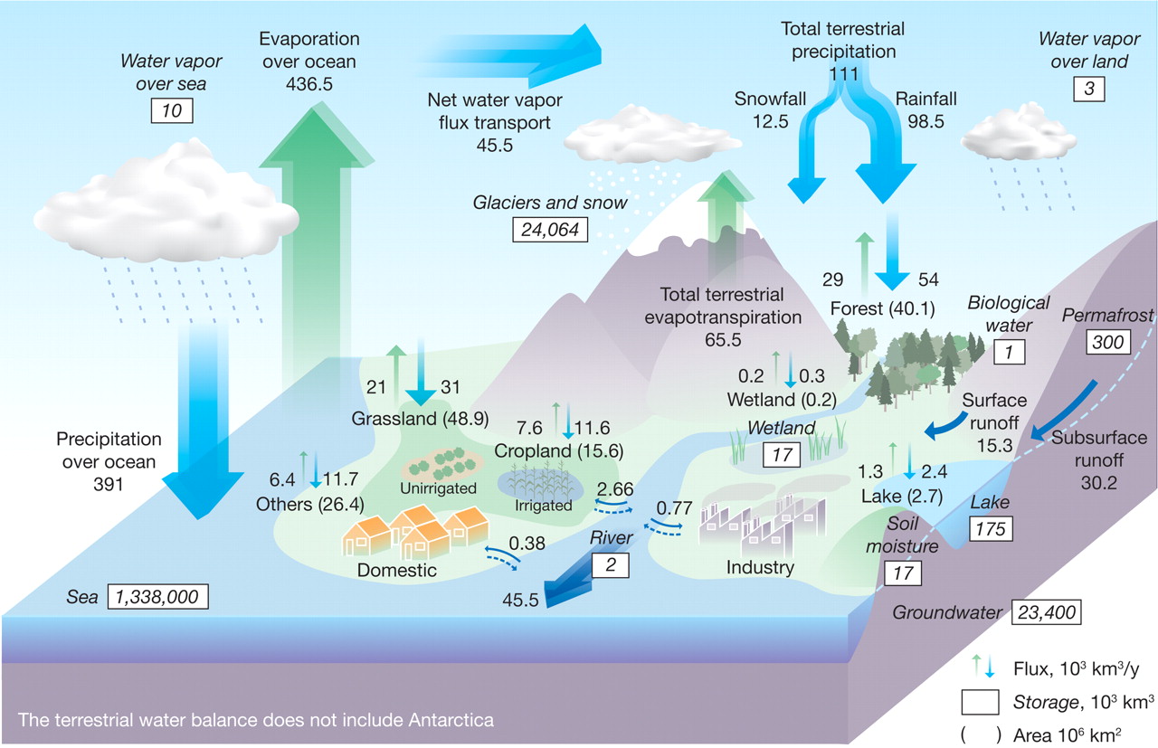 _images/water-cycle-science.jpeg